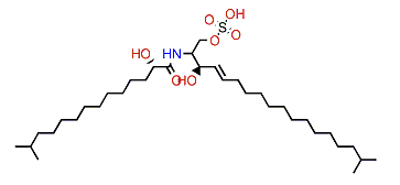 Calyceramide A